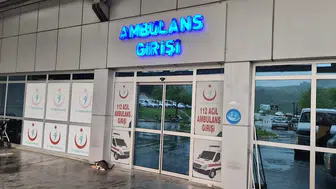 Ağaçtan düşen adam, merdiveni tutan kişiyi de yaraladı