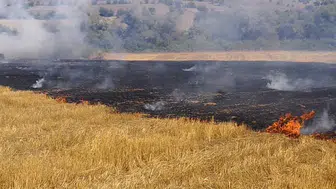 Karabük’te anız yangını itfaiye ekipleri tarafından kontrol altına alındı