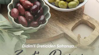 Didim'de zeytin üreticileri için yeni pazar alanı açılıyor