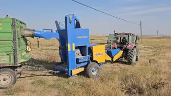 Adilcevaz’da fasulye hasadı sezonu başladı