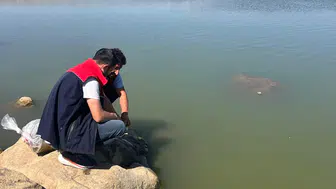 İdil'de su kaynaklarının zenginleşmesi için 100 bin yavru sazan bırakıldı
