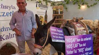 Saruhanlı'da eşekle hoşaf denemesi: Festivalin renkli anları