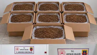 Alanya ve Döşemealtı’nda düzenlenen kaçak tütün operasyonunda 210 kilogram tütün ele geçirildi