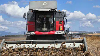 Kaymakam Recep Öztürk, ayçiçeği hasadında üreticilerle buluştu