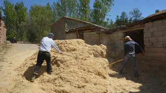 Erzincan'da çiftçiler kış hazırlıklarına hız verdi