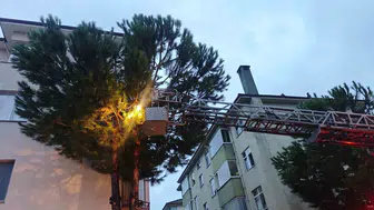 Bartın'da sağanak yağışta mahsur kalan kedi kurtarıldı