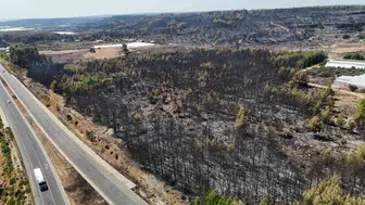 Antalya'da orman yangını kontrol altına alınıyor, hayatını kaybedenler var