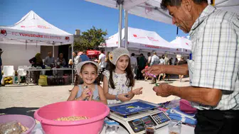 Yuntdağı fıstığı hasat şenliğiyle coşkun bir kutlama yapıldı