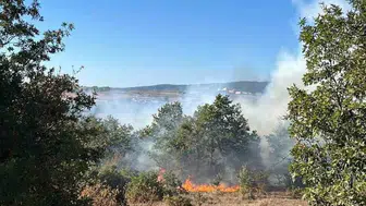 Bilecik'te şerbetçiotu tarlasında çıkan yangın, çalılık alana sıçradı