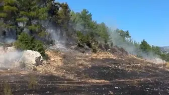 Burdur'da orman yangınına havadan ve karadan müdahale devam ediyor