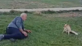 Bayburt'ta tilkiyle dost olan vatandaşın örnek davranışı