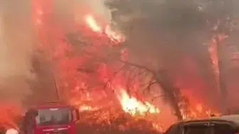 Antalya'da orman yangınında mücadele eden ekipler zor anlar yaşadı