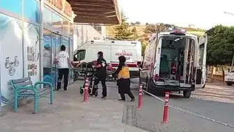 Ceviz ağacından düşen Mehmet Kıran hastaneye kaldırıldı