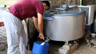 Kocaeli'de süt üreticilerine soğutma tankı desteği: Maliyetler düştü, kalite arttı