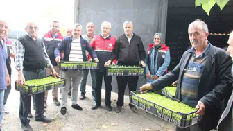 İnebolu'da 65 çiftçiye 88 bin 400 adet sebze fidesi destek sağlandı