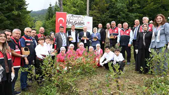 Kastamonu’da aronya hasadı başladı, 7 ton rekolte bekleniyor