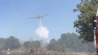 Balıkesir Kocaavşar Mahallesi'nde orman yangınına müdahale ediliyor