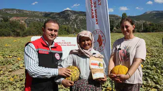 Menteşe Karabağlar yaylasında yerel sebzelerin hasadı yapıldı