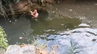 Derede mahsur kalan kaplumbağa yüzerek kurtarıldı