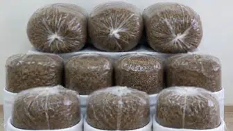 Antalya’da üç ilçede kaçak tütün operasyonunda 400 kilogram tütün ele geçirildi