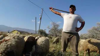 Zorlu şartlar altında çobanlık yapan Mehmet Zobi, sıcak havalarda günde 10 litre su tüketiyor
