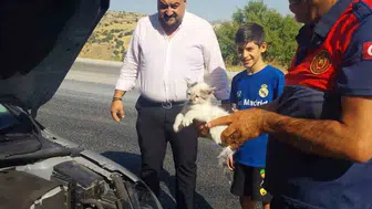 Besni'de sıkışan kedi itfaiye ekipleri tarafından kurtarıldı