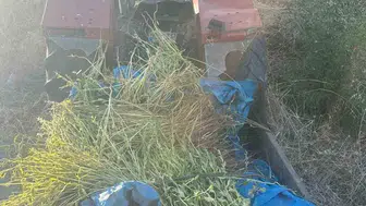 Manisa'da traktör kazası: 56 yaşındaki adam hayatını kaybetti