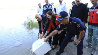 Bartın'da su kaynakları için 145 bin sazan balığı salımı yapıldı