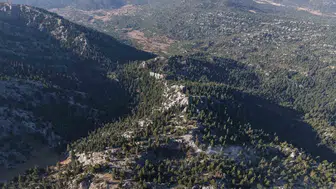 Antalya'daki orman yangını başarıyla kontrol altına alındı