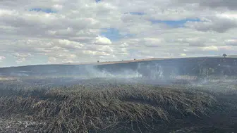 Tekirdağ'da anız yangını paniği: İtfaiye müdahalede bulunuyor
