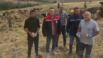 Aydıntepe'de yonca zehirlenmesi uyarısı hayvan yetiştiricilerine yapıldı