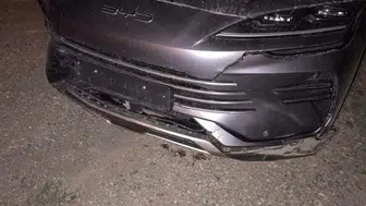 Bilecik'te otomobilin çarptığı yaban domuzları telef oldu