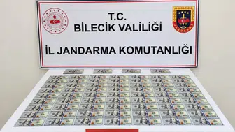Bilecik'te bir otomobilde 202 adet sahte dolar ele geçirildi