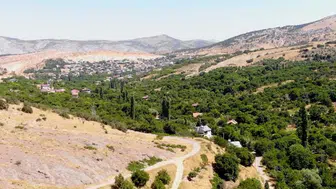 Emirler'de kapalı sulama ile kiraz üretimi artışı sağlandı