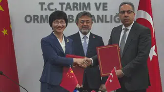Çin ile defne yaprağı ihracatında yeni gelişme: Yıllık 60 milyon dolarlık potansiyel