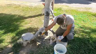 Altınkum ve Kadıköy'de yeni yeşil alan çalışmaları başladı