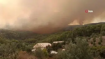 Kumluca'da orman yangını paniği: Ekipler seferber oldu