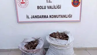 Bolu'da kaçak salyangoz operasyonu: 2 kişi yakalandı