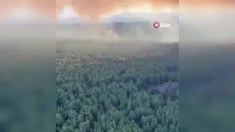 Adana'da evlerin yanında çıkan orman yangınına havadan ve karadan müdahale ediliyor