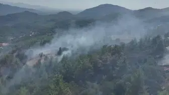 Bucak'ta orman yangını hızla kontrol altına alındı