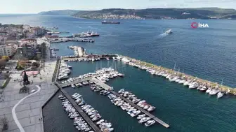 Çanakkale'de mavi denizanaları konusunda önemli uyarılar yayımlandı
