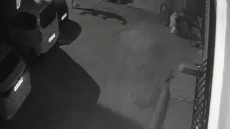 İzmir'de köpeğine tekme atan şahsın görüntüleri güvenlik kamerasında