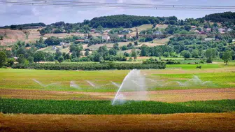 Kocaeli tarımında çift hasat dönemi başladı