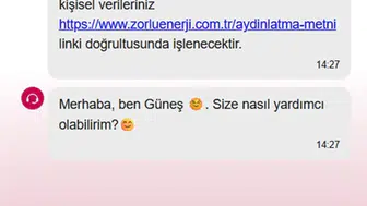 OEPSAŞ yapay zekâ destekli müşteri hizmetlerini tanıttı
