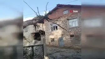 Beyşehir'de rüzgarın etkisiyle ağaç devrildi, otomobil hasar gördü