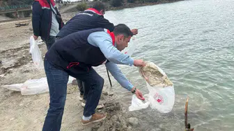 Havza'da göletler için önemli adım: 110 bin yavru sazan suyla buluştu