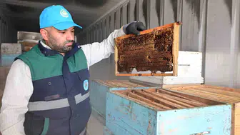 Manisa'da arıcılar için eksi 30 derecelik koruma sistemi devreye girdi