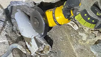 Kedinin borudaki macerası sona erdi: İtfaiye ekibi devrede