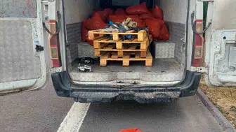 Sakarya’da 2,2 ton kaçak midye ve 156 küçükbaş hayvan ele geçirildi