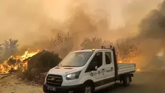 Alevlerin arasında canlarını riske ettiler: Koyunlar kurtarıldı